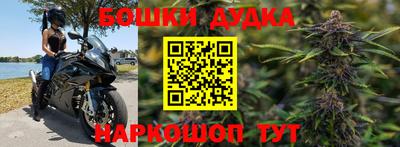 таблы Новозыбков