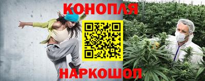 таблы Новозыбков